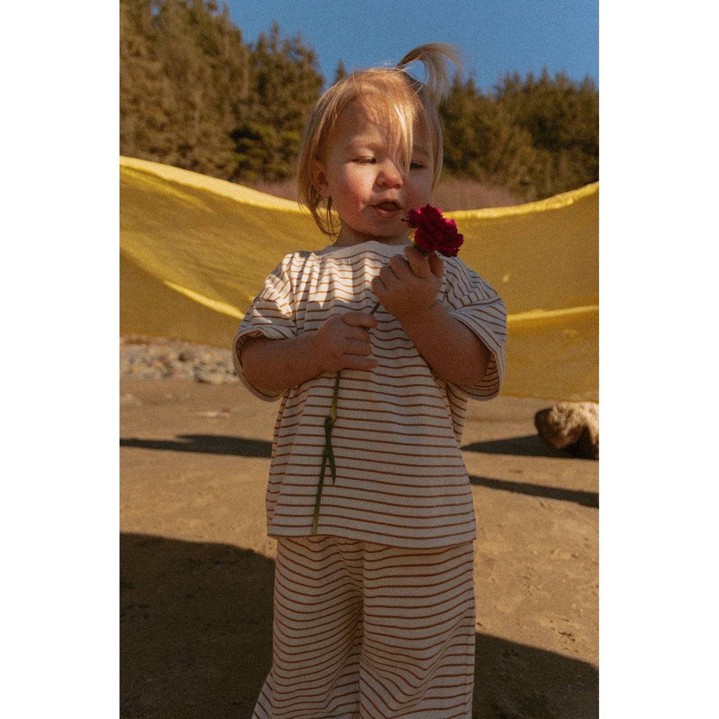 Sawyer Set in Thin Vanilla Ice Stripe