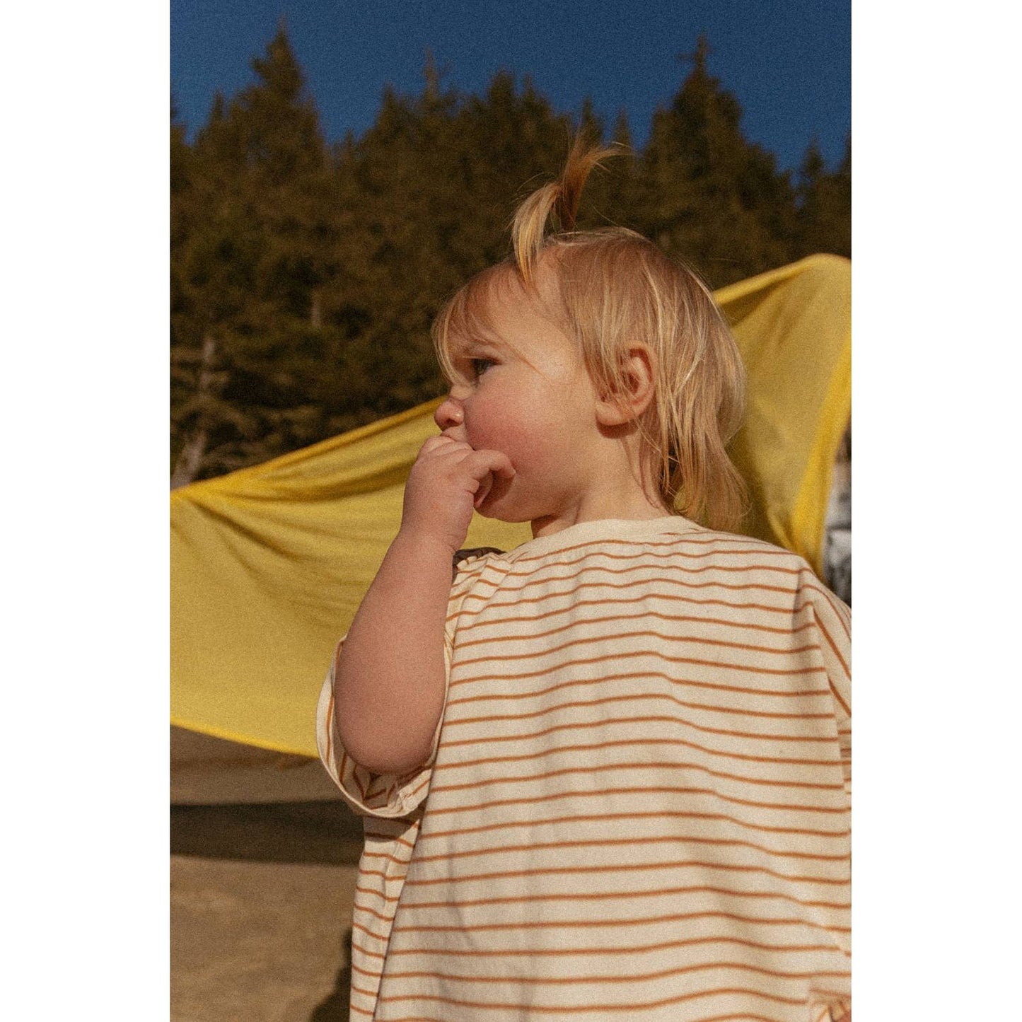 Sawyer Set in Thin Vanilla Ice Stripe